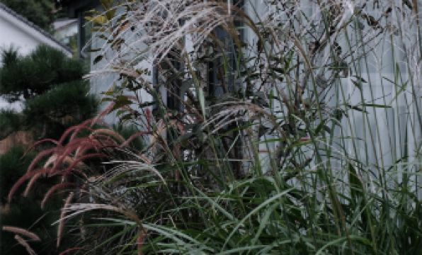 Hangzhou Jianshan Light Luxury Hotel