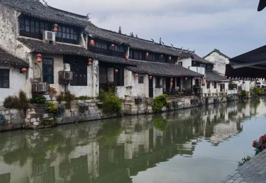 5. 상하이 펑징 고..