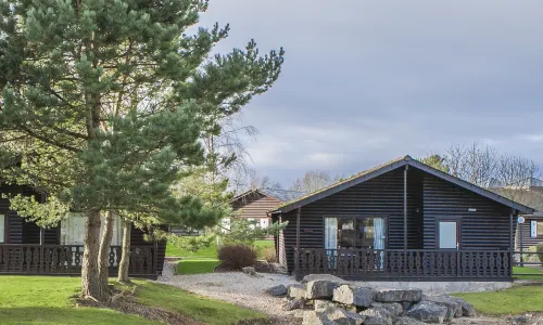 Pine Lake Resort