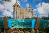 Andaz Macau - Beach
