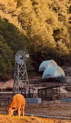 Thirteen Degree Wind Four Seasons Tent Camp 뱌오촌 리수족향 민족광장 주변 호텔