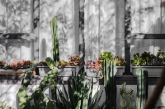 Alley Chufeng Courtyard, Nanzhao Heritage, Mountain Beside Mystery Holiday Home Inn