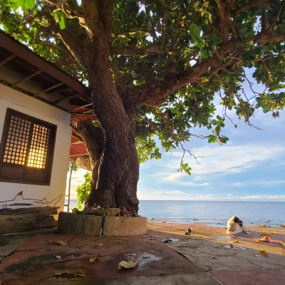 Paseo Del Mar Seaside Inn Hotels near Canuba Beach