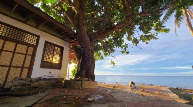 Paseo Del Mar Seaside Inn Отели рядом с достопримечательностью «Кануба- Бич»