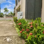 Leisure City Apartment Hotels near J. Kevi Group Fiji