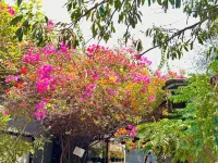 Angkor Piseth Homestay Hotels near Bayon Temple