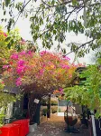 Angkor Piseth Homestay Hotels in 