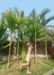 Tai Na Garden B&B Hotel di Jinghong