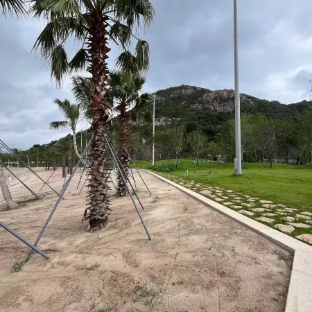 Shanhai Yixiu·Seeing the Sea (Yangmeikeng Judiaosha Store)