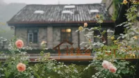Village Head Fang F · Village (Wuyuan Branch) Hotels near Koson