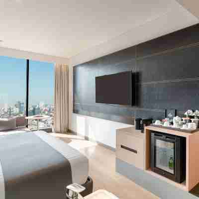 金邊 BKK1 諾富特飯店 Rooms