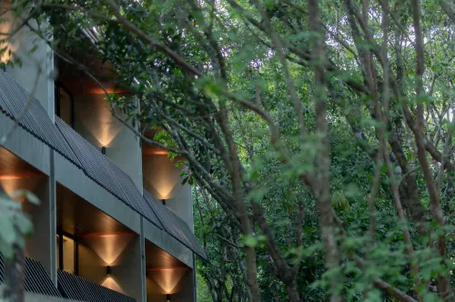 Piece Lio from Japan Managed by H Hospitality Group