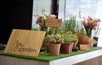 JW Marriott Hotel Beijing Central