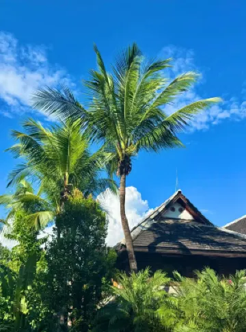 Q+ Xishuangbanna Golden Mango Inn ( jinghong  Gaozhuangxishuangjing Starlight Night Market) Hotels near The Great Pagoda Temple of Jinghong