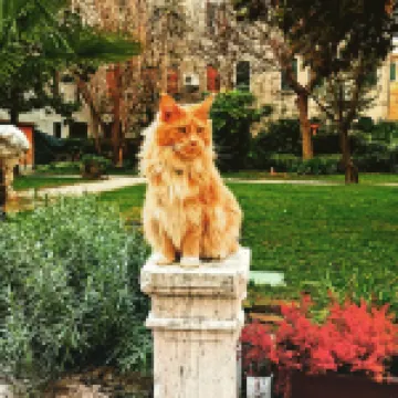 チンコテステ ラグジュアリー ホーム ヴェネツィア