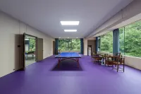 Sanqing Mountain Suifeng Shiji He Resort Hotel (Mount Sanqing Scenic Area Branch) - Gym