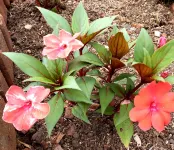 Charming in Khao Yai Hotel Hotel in zona Chao Por Khao Yai Shrine