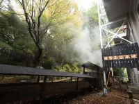 有馬龜之井飯店 - 溫泉