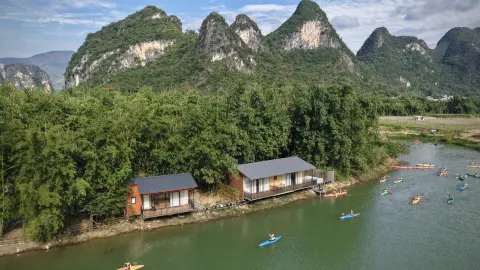 Bamboo Forest Wonderland in Yingde