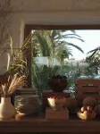ANDRONIKOS HOTEL MYKONOS - acceptant les animaux