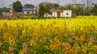 Fengqiwu Homestay - pemandangan pegunungan