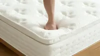 Haoyunlai Boutique Hotel - Ramah Hewan Peliharaan