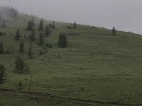 Wutai Mountain Early Planting Late Harvest RV Hotel - Bjergudsigt