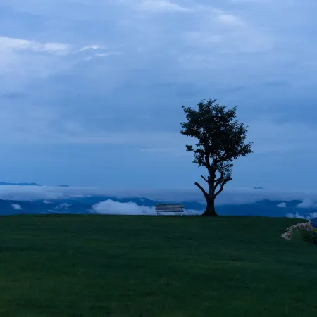 Jinyun Chunshang Yunduan Secret Resort Hotel