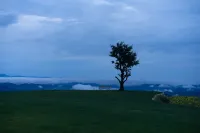 Jinyun Chunshang Yunduan Secret Resort Hotel - Bergblick