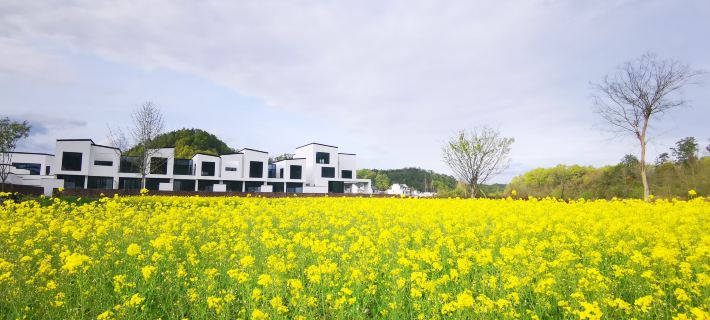 QiYunShan Tianjuli Art Resort Villa Hotel Hotele w: Powiat Xiuning