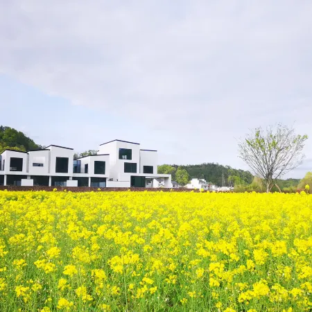 QiYunShan Tianjuli Art Resort Villa Hotel