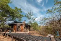 Leopard Safaris Yala Hotels in Kataragama
