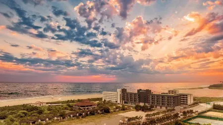 Dignity Hotel Отели в г. Янъян