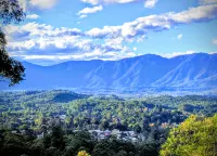 Bellingen Belfry Guesthouse Hotels in Bellingen