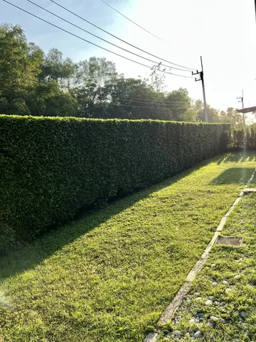 รูปภาพของแอเรีย 15 โฮเทล & อพาร์ทเมนท์