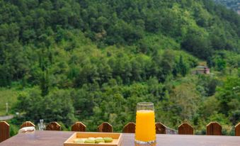 Yujian Yuanshan Villa Wild Garden Hot Springs Homestay (Hailuogou Glacier Forest Park)
