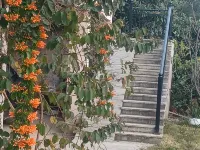Jiande Xuan Mingyuan Homestay Hotels near Heyuan Heping Hot Spring