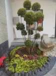 Yangjia Xiaoyuan Homestay