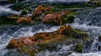 YOUJIA · Youjia Home stay (Jiuzhaigou Valley Scenic and Historic Interest Area Tourist Center Store) - pemandangan pegunungan