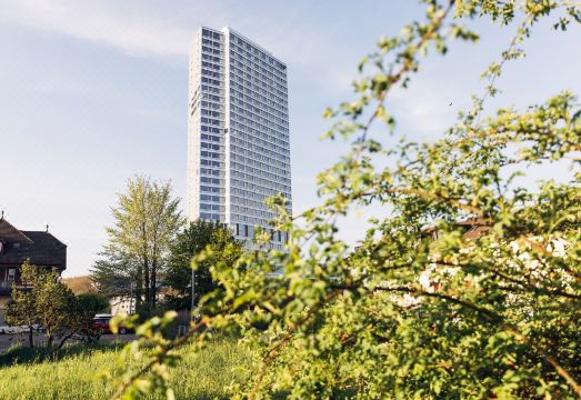 베른 호텔 욕실