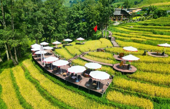MT House Sa Pa - Mountain & Terraced fields View And Trekking Tour