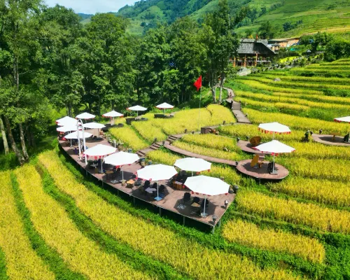 MT House Sa Pa - Mountain & Terraced fields View And Trekking Tour Hotels in Ta Van