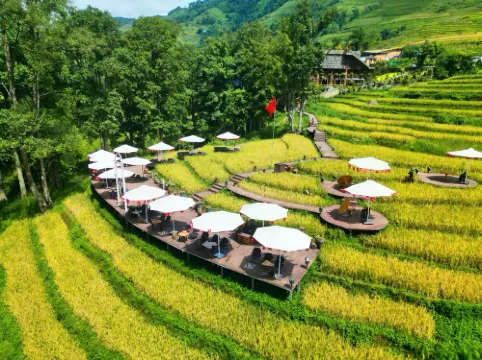 MT House Sa Pa - Mountain & Terraced fields View And Trekking Tour