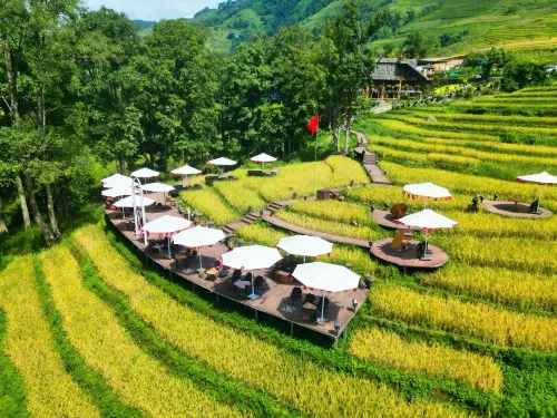 MT House Sa Pa - Mountain & Terraced fields View And Trekking Tour Hotel a Hầu Thào