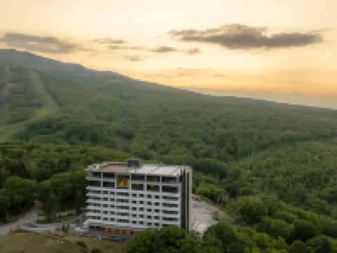 シャレーアイビーワイス 倶知安のホテル