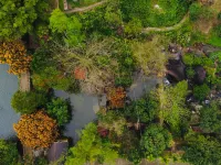 Toom Sara Forest Stay - Danang Hotels near Sun World Ba Na Hills