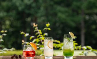 Holiday Inn Resort SHINANO-OMACHI KUROYON by IHG