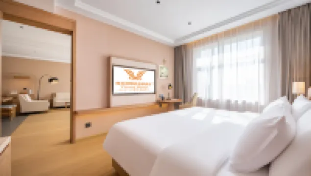 Vienna Hotel (Mengcun Tuanjie Road Party School Branch)