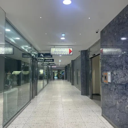 Millennium Living