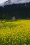 JI Hotel (Nyingchi Nanyue Avenue Niyang Shiguang) - Mountain view